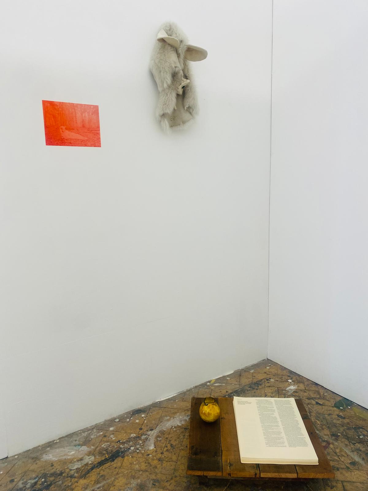 Wide view of the installation - red screenprint and boar costume on wall, wooden table with glass jug and open text on paint-splattered floor