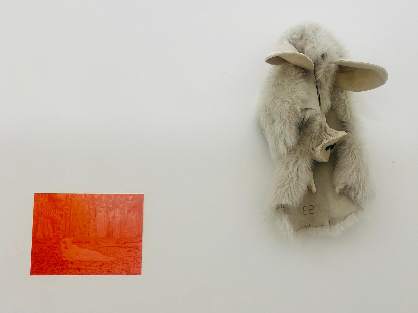 Close-up of wall pieces - the red-washed forest screenprint beside the pale fur boar costume