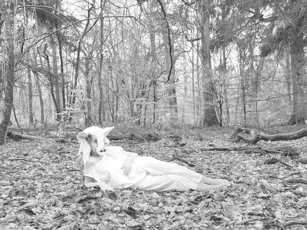Performative documentation in the Forest of Dean — searching for wild boar among the trees