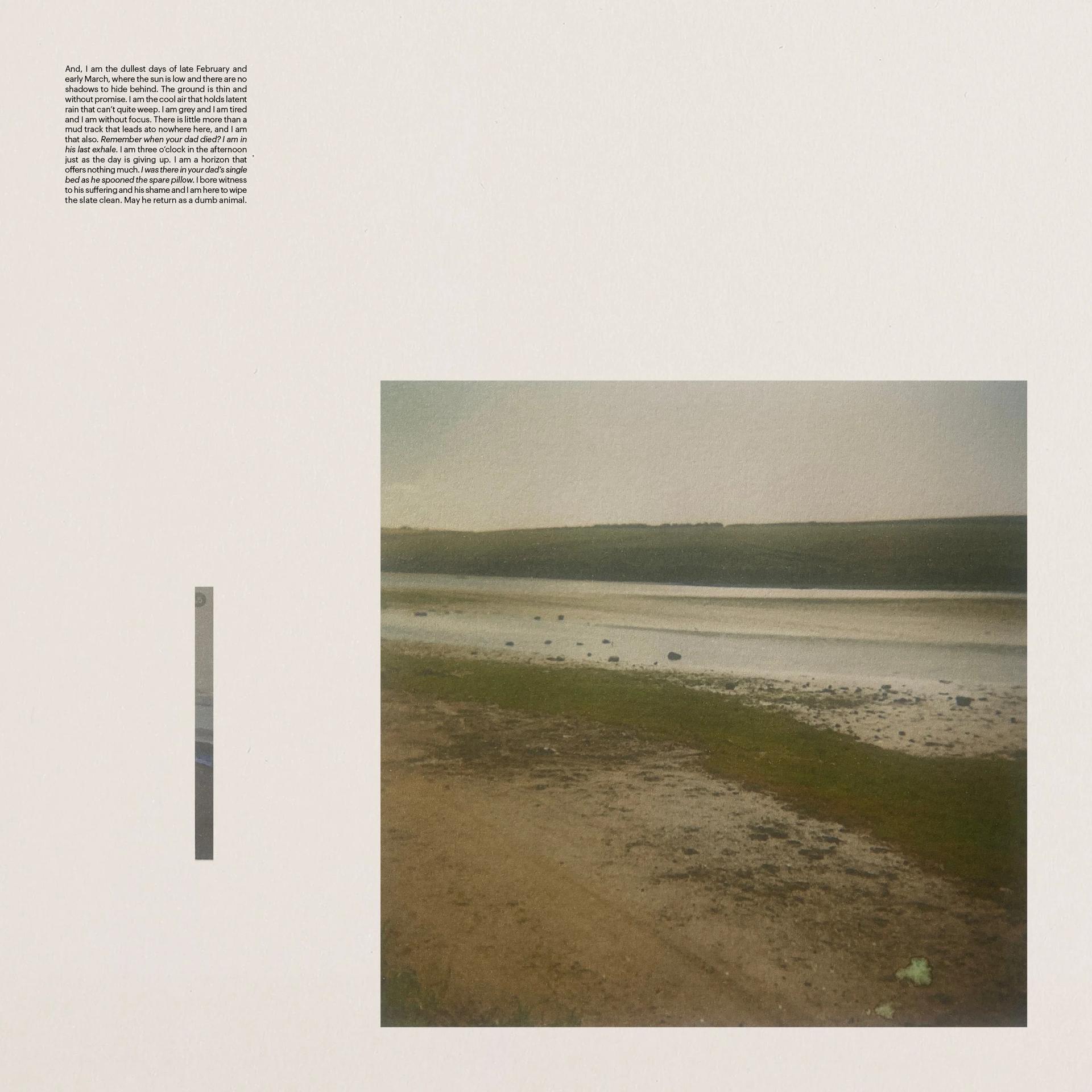 A graphic composition: a muted coastal estuary of olive-green banks and grey sky, paired with a block of poetic text — landscape and language dissolving into one another