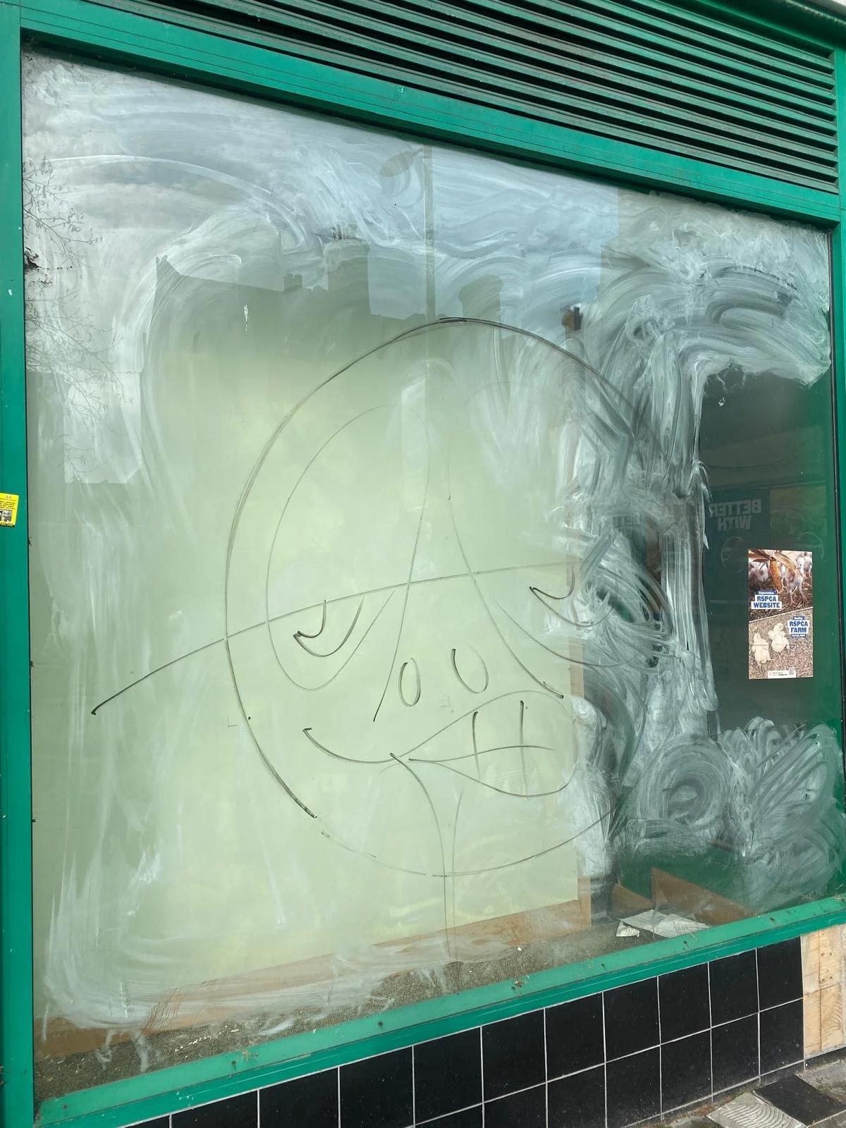 A whitewashed shopfront window with a crude smiley face drawn through the paint to the glass beneath, a teal frame around the vacancy — suburban ennui as accidental self-portrait